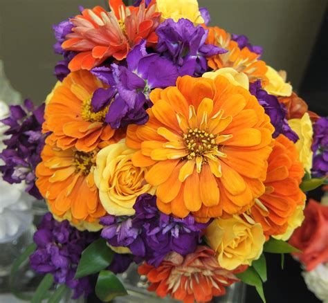 Beautiful Fall Zinnias Bouquet Wildflower Arrangements Zinnia