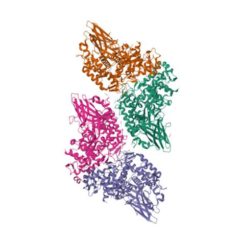 RCSB PDB 8JI8 Crystal Structure Of Prophenoloxidase PPO6 Chimeric