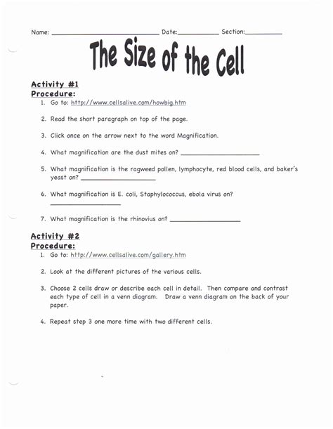 5th Grade Science Worksheets