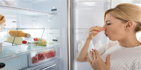 How To Troubleshoot Your Refrigerator Problems