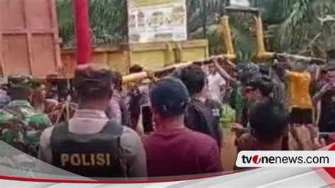 Ratusan Masyarakat Lakukan Aksi Panen Massal Di Perkebunan Sawit Milik