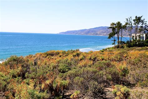 Point Dume State Beach: The Beautiful Coast of Malibu - California ...