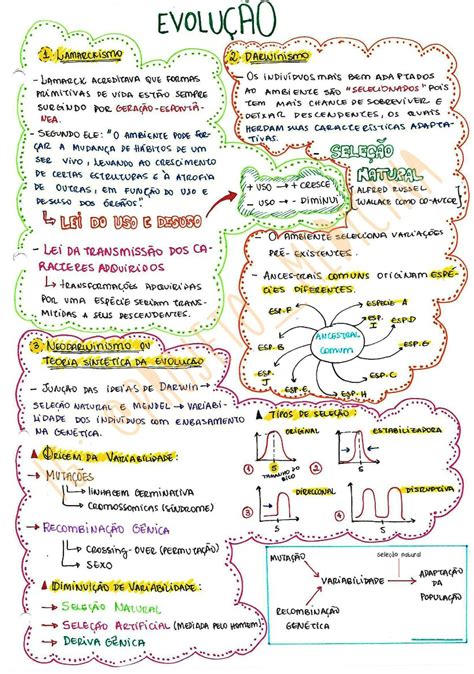 Evolução Biológica Mapa Mental