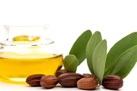 Que Vaut Lavis Des Dermatologues Sur Lhuile De Jojoba Pour Le Visage