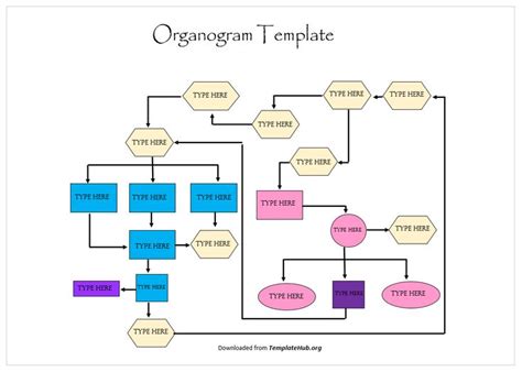 an organization diagram is shown in this graphic file, with the ...