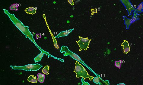 KARMENscience - PHENOTYPING - KARMENscience