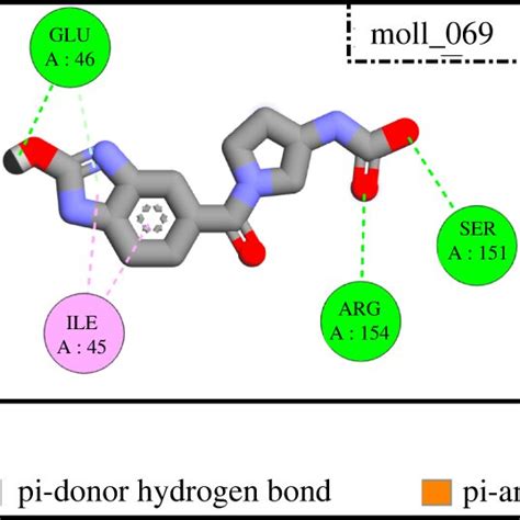 Representation Of Predicted Binding Site Residues Using The Castp Tool Download Scientific