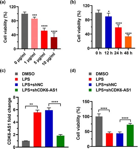 Silencing CDK6 AS1 Inhibits LPS Induced Inflammatory Damage In HK 2 Cells