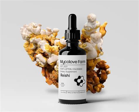 Amazon Mycolove Farm Organic Reishi Mushroom Elderberry Tincture