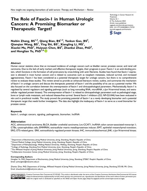 Pdf The Role Of Fascin In Human Urologic Cancers A Promising