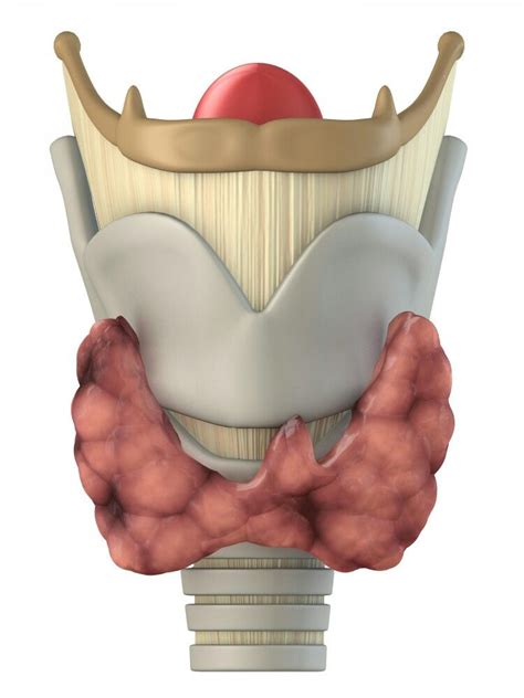 Pin On Health Thyroid R