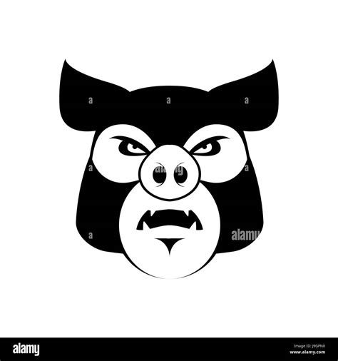 Angry Razorback Wild Pig Hog Hi Res Stock Photography And Images Alamy