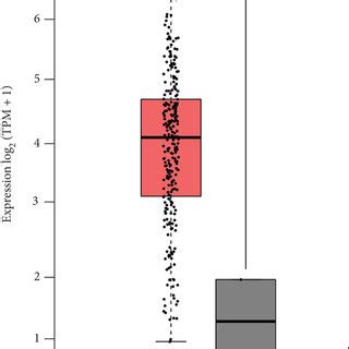 Kifc Was Highly Expressed In Osteosarcoma A Expression Of Kifc In