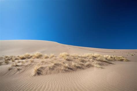 Premium Photo | Sand dunes in the desert