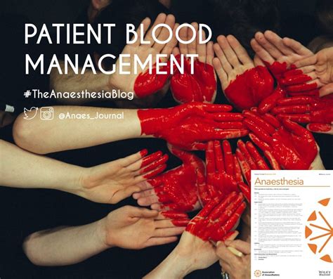 Pdf Patient Blood Management