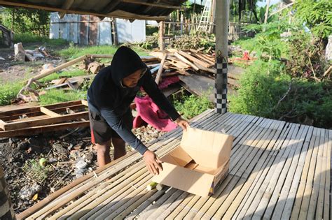 Warga Telagawaru Temukan Bayi Dibuang Dalam Kardus Polisi Buru Pelaku