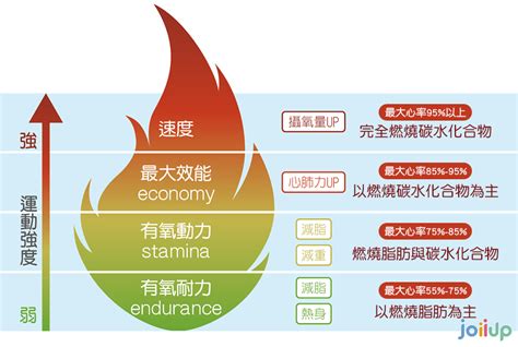 你的健康生活心提案│如何戰勝體脂肪？請你跟我這樣做【運動篇】 Joiiweekly Joiiup