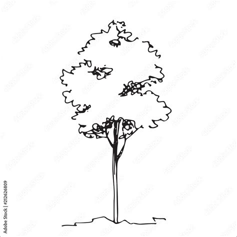 Tree sketch, architect hand drawing, black landscape element Stock Vector | Adobe Stock