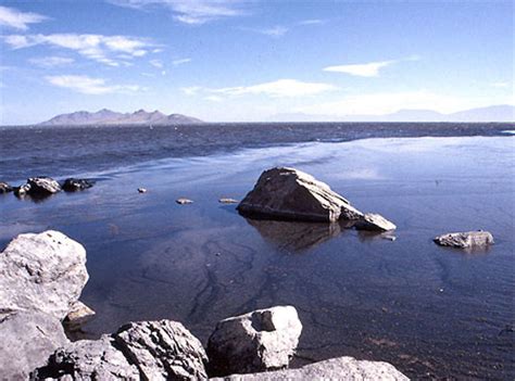 Le Grand Lac Sal Lacs Great Salt Lake Utah Parcs Nationaux De