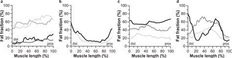 Typical examples of muscles in facioscapulohumeral muscular dystrophy... | Download Scientific ...