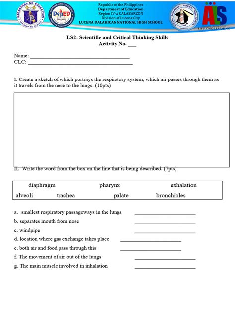 1-Respiratory System Worksheet | Download Free PDF | Respiratory System ...