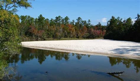 Blackwater River State Park In Milton Florida This Is One Of The