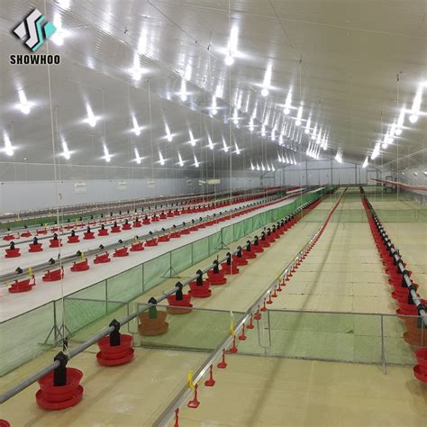 Modern Steel Frame Structure Broiler Shed Cost Design Layer Poultry