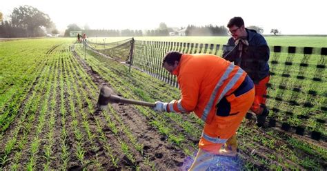 Hoyte Nachrichtenportal F R Hoyerswerda Der Winter Kommt