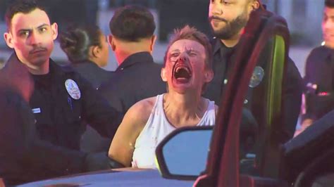 Female Driver Arrested For 405 Freeway Rampage Identified Ktla