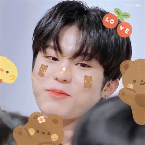 Jeongwoo Bear Cute Icons Cute Treasures