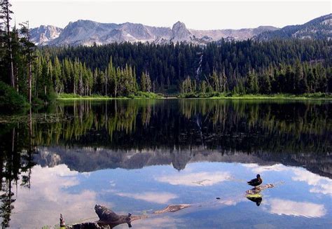 Fishing at Mammoth Lakes | Adventure in Camping