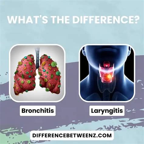 Difference Between Bronchitis And Laryngitis Difference Betweenz