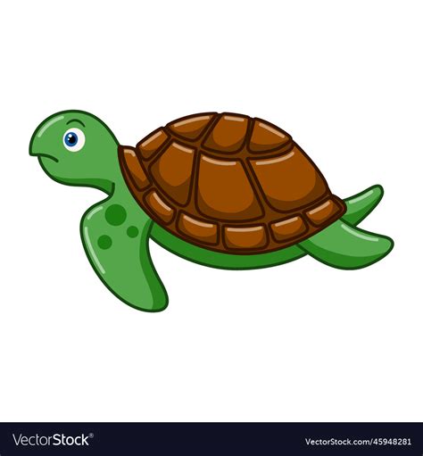 Cartoon Sea Turtle On White Background Royalty Free Vector