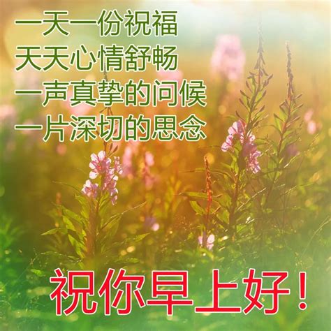 4月早上好祝福语图片最新 四月早上好祝福语图片配图网