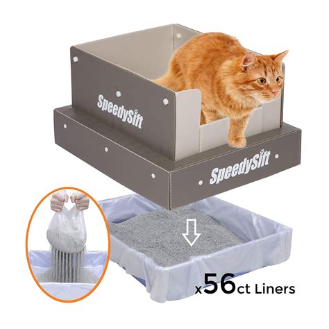 Top 10 Best Self Cleaning Cat Boxes In 2025 Reviews Guide