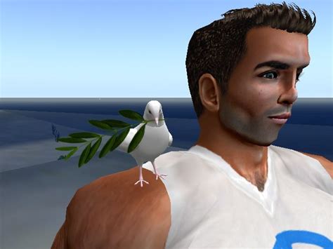 Second Life Marketplace Peace Dove