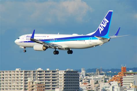 全日空 Boeing 737 800 Ja60an 那覇空港 航空フォト By やまちゃんkさん 撮影2021年09月23日