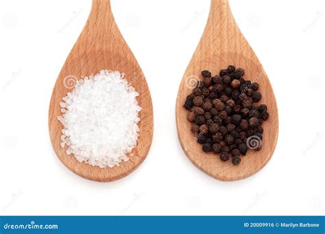 Salt And Pepper Stock Photo Image Of Food Condiment 20009916