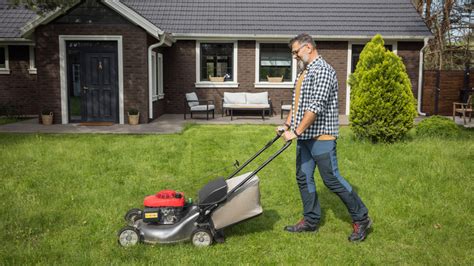 What S The Right Length To Mow Your Lawn At