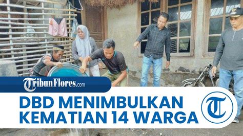 300 Kasus Dengan 14 Kematian Akibat Demam Berdarah Mengintai Warga Bima