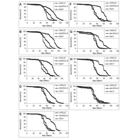 Life Spans Of Flies Overexpressing Gclc In The Cns The Mean And Download Scientific Diagram