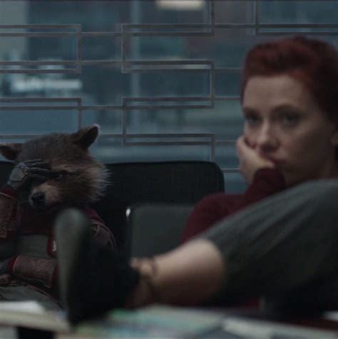 Create Meme Raccoon Black Widow Rocket Raccoon Pictures Meme