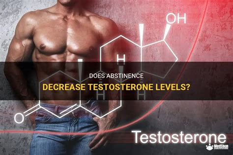 Does Abstinence Decrease Testosterone Levels Medshun