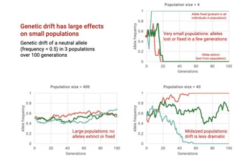 Topic Part Evolution Of Populations Flashcards Quizlet