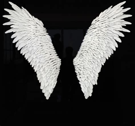 Angel Wings Wall Sculpture by Joel Amit