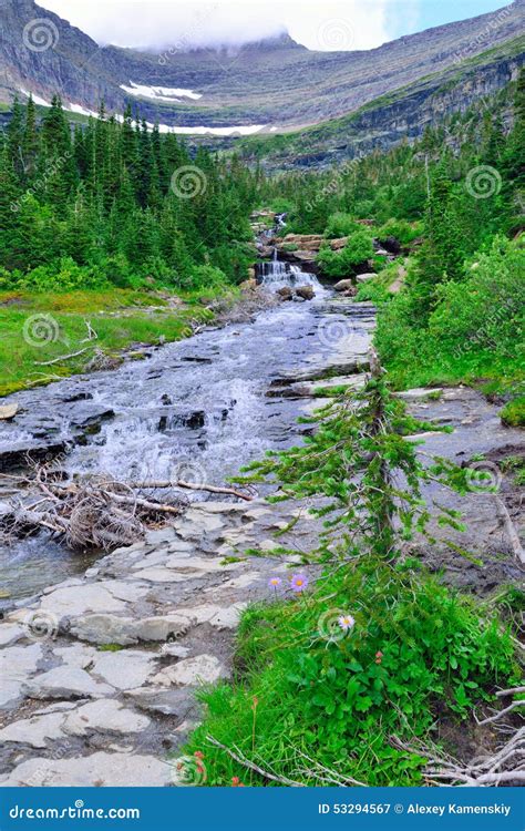 Mountain Stream And Wild Alpine Flowers On A High Alpine Trail In