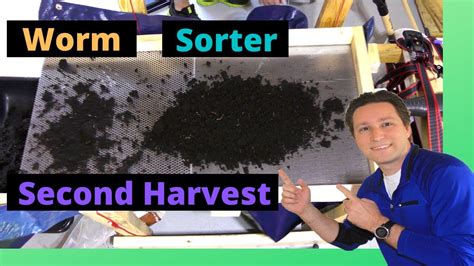 Diy Worm Sorter 2nd Test Harvesting Worm Castings Vermicompost Youtube