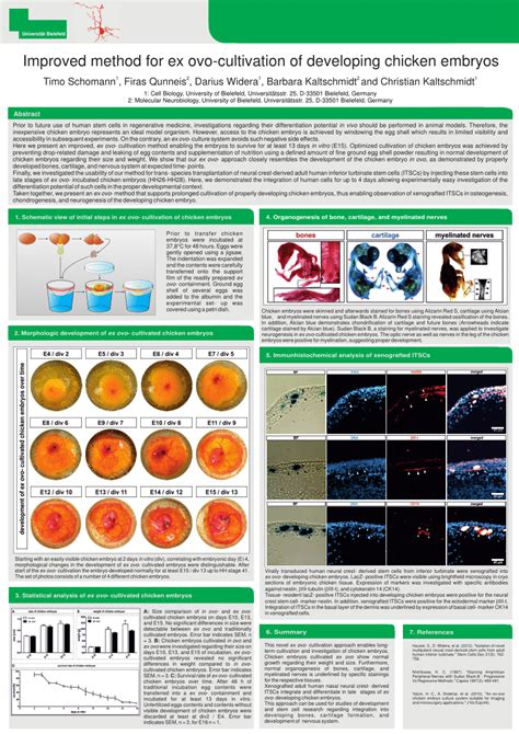 Pdf Improved Method For Ex Ovo Cultivation Of Developing Chicken Embryos