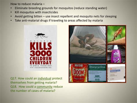 Ppt Infectious Diseases Chapter 20 Section 2 Powerpoint Presentation