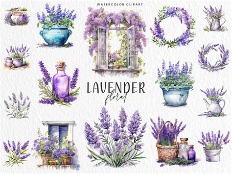 Watercolor Lavender Floral Clipart Graphic By Busydaydesign Creative